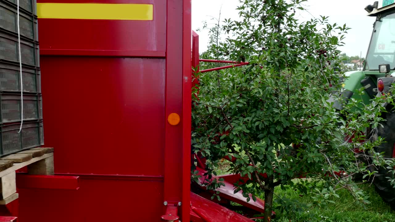 Combine in work of the orchard