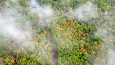 Bosque-De-Colores-Otoñales-Con-Nubes-De-Niebla-Ligera,-Antena