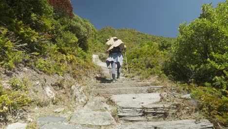 Una-Senderista-En-Forma-Subiendo-Una-Empinada-Escalera-Al-Sendero-De-Montaña-Del-Cielo-En-Nueva-Zelanda