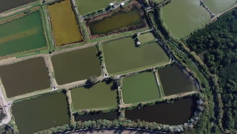 Mai-Po-Nature-Reserve-and-wetlands,-Hong-Kong,-Aerial-view