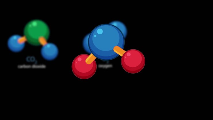 Renkli 3D moleküler modeller, karbondioksit, oksijen ve su yapılarının illüstrasyonunu yaparak yumuşak bir geçiş sağlar.
