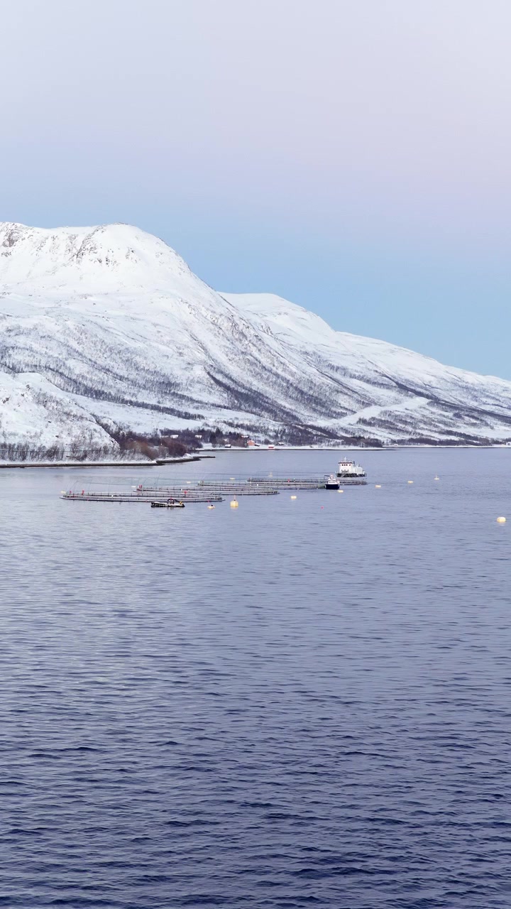 Vertikalansicht von Lachsaquakultur-Meereskäfigen im Fjord mit schneebedeckten Bergen in Ringvassøya, Tromsø, Norwegen. Drohnenaufnahme.