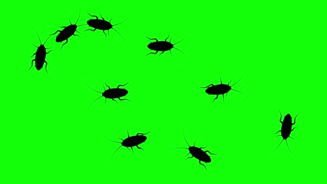 swarm of cockroaches, cg animated silhouettes on green screen, seamless loop.