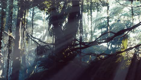 selva lluviosa brumosa en la niebla