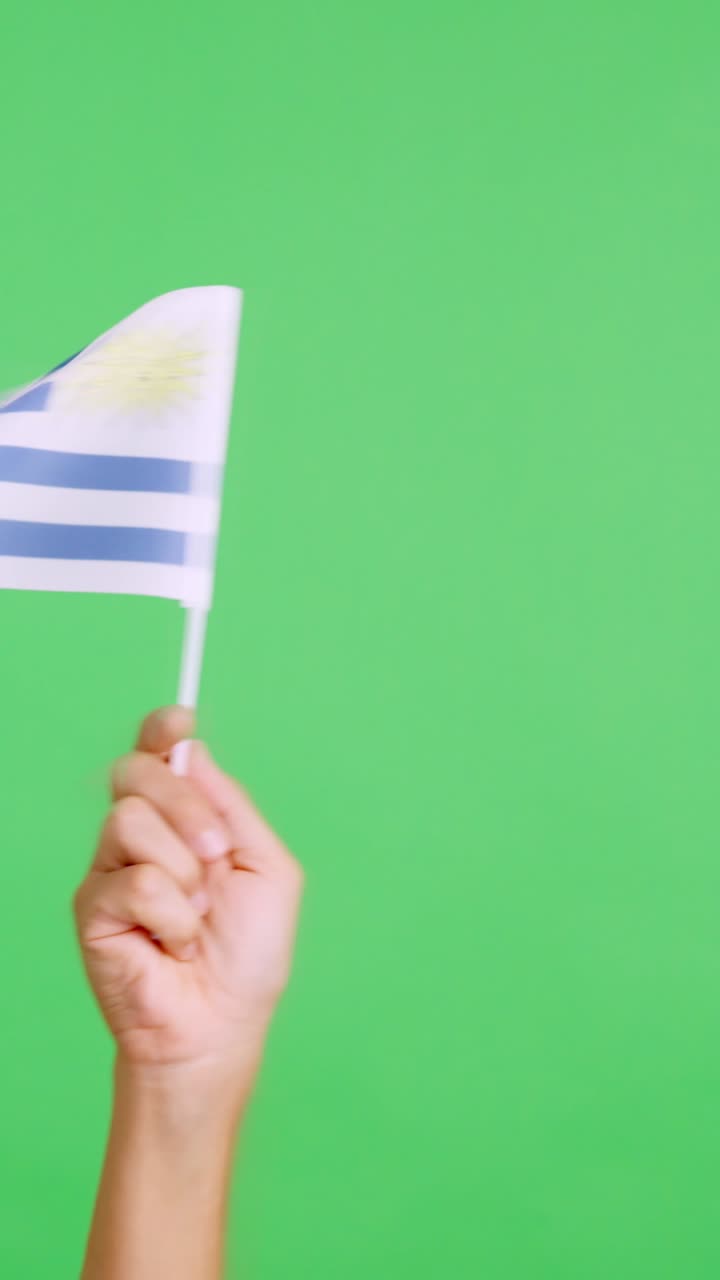 Hand waving a pennant of a uruguayan national flag