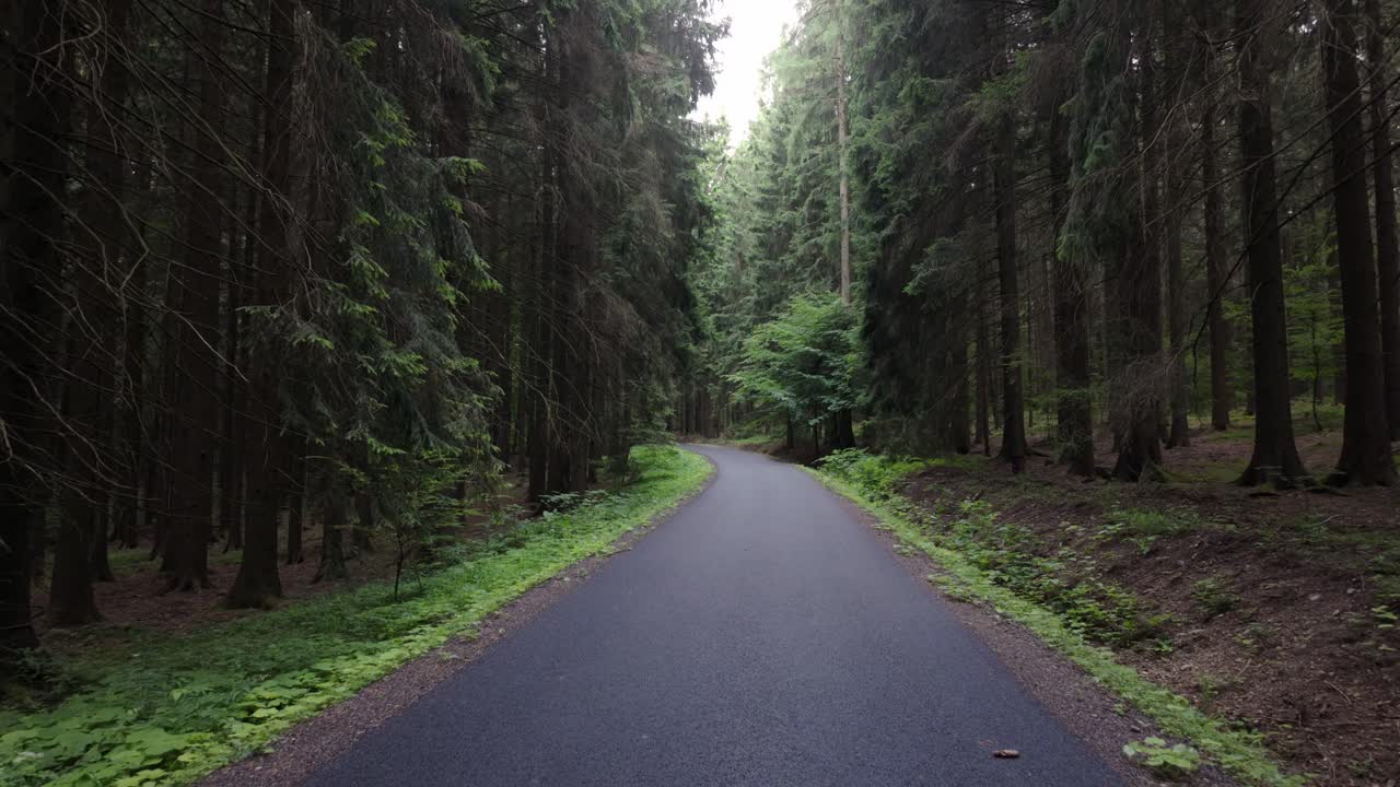 Mysterious path in the forest hides many secrets behind a bend of dense tall trees. Walking in the beautiful Czech countryside