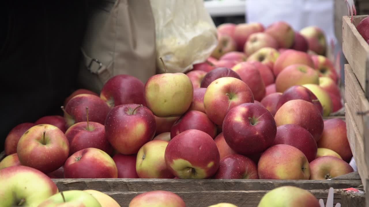 Costumer choosing red apples in city fruit and vegetable market. Buyer picking red juicy apples in farmers market