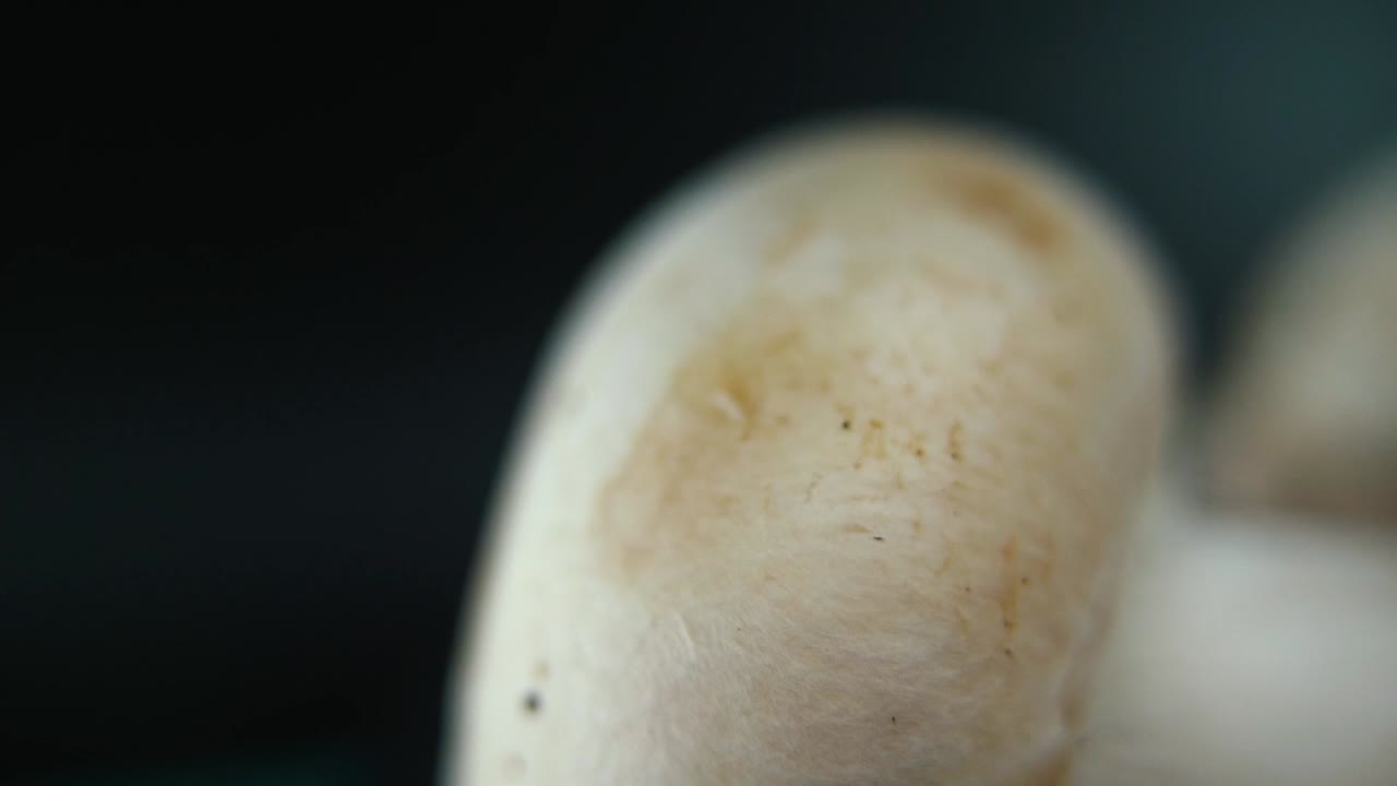 video macro de una pila de setas, champignones crudos, gorra blanca gigante, en un soporte giratorio, movimiento suave, cámara lenta 120 fps