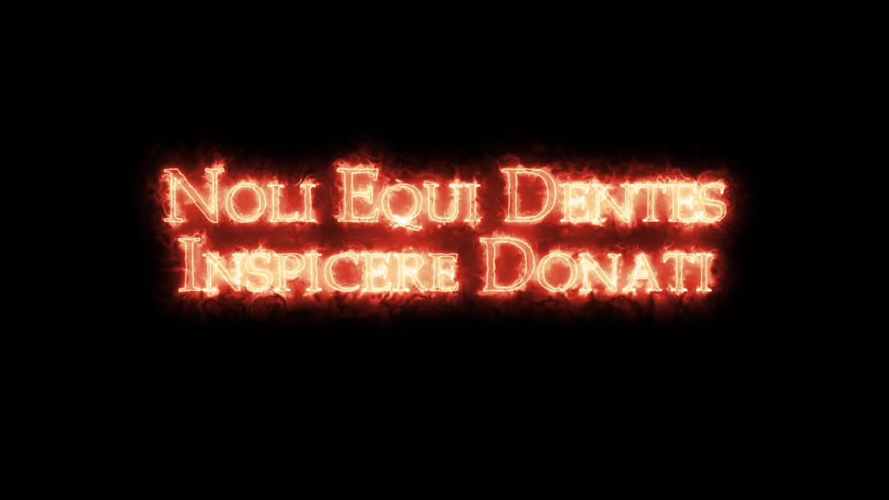 noli equi dentes inspicere donati escrito con fuego. bucle
