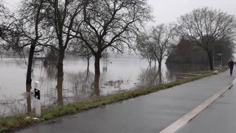 boat sails on the river and the people walks on the empty road of rüdesheim, germany