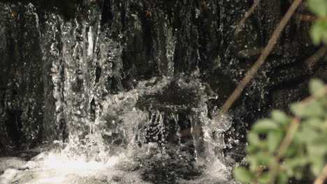 video de primer plano en cámara lenta de la cascada