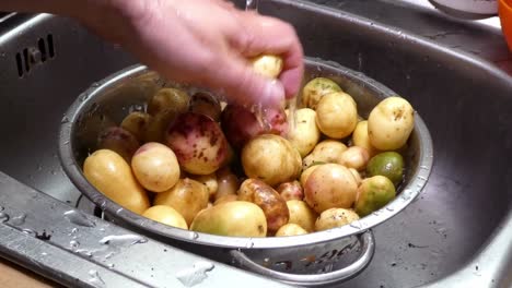 hand ashing colourful mixed assortment of homegrown potatoes in silver kitchen strainer