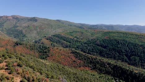 Hojas-De-Otoño-Que-Cambian-De-Color-Naranja-En-La-Temporada-De-Otoño-En-Las-Montañas-De-Utah,-Drone-Aéreo