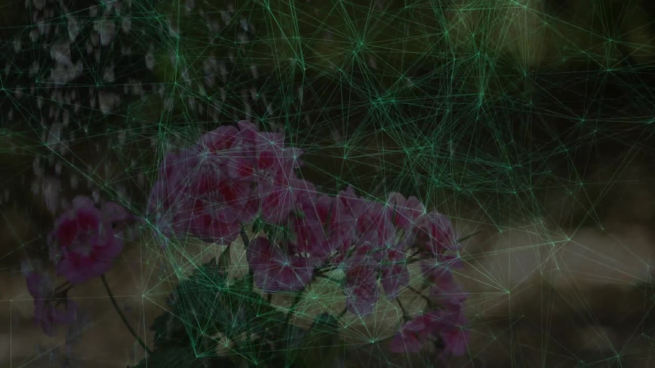 Digital mesh pulsing over pink hydrangea with water cascading and revealing moisture data effect
