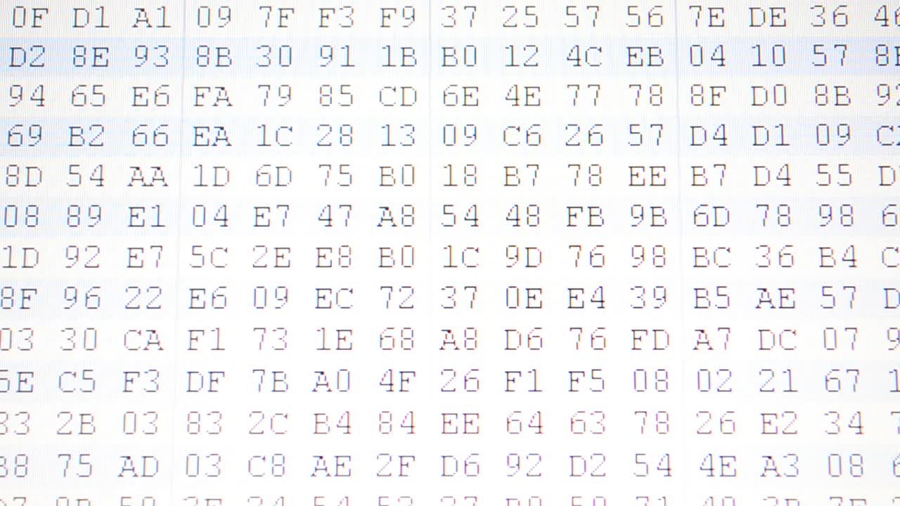 Movement of a code binary. Hexadecimal program code on screen. Animated background of moving binary code numbers