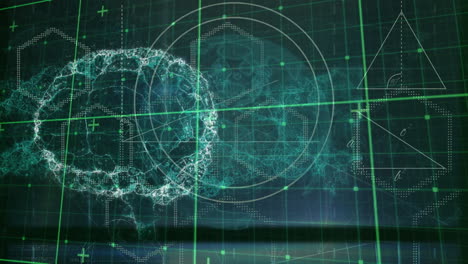 animación del cerebro humano sobre la cuadrícula verde