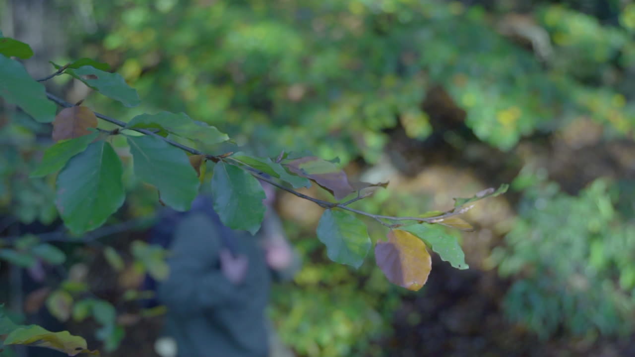 Man walking through an autumn forest