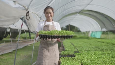 young beautiful woman's carrying vegetable