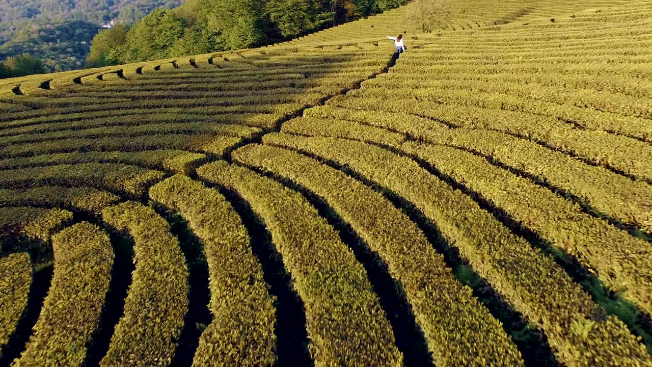 드론으로 자연을 는 것.
