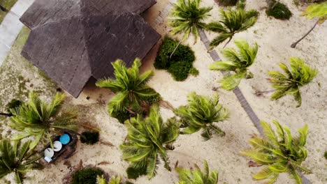 bungalow de playa con drones, cocoteros en el viento