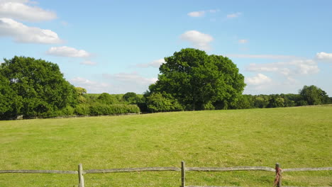 Drone-lands-near-green-field-and-large-tree-at-sunset