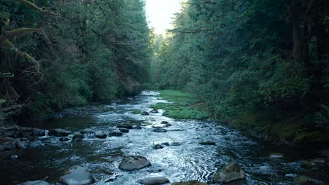 A-drone-dolly-shot-of-a-flowing-river-with-green-trees-during-sunset