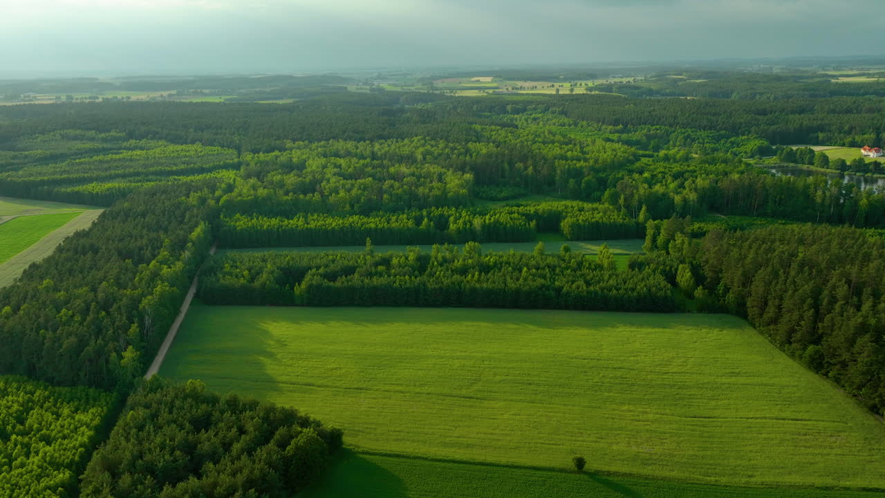 Aerial view of a vast forested landscape with interspersed fields and patches of greenery