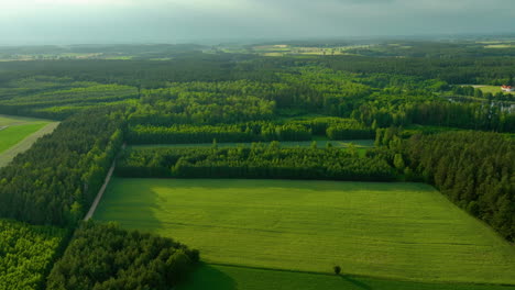 Luftaufnahme-Einer-Ausgedehnten-Waldlandschaft-Mit-Dazwischen-Liegenden-Feldern-Und-Grünflächen