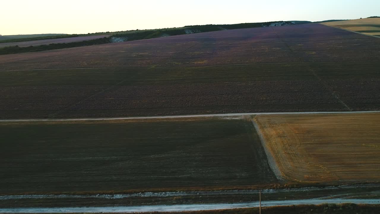 campos de lavanda vista aérea al atardecer