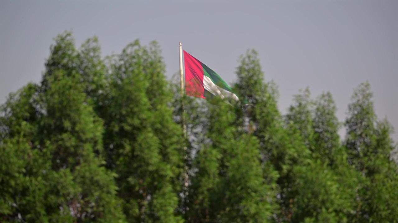 Emirati national flag soaring above green trees in the UAE