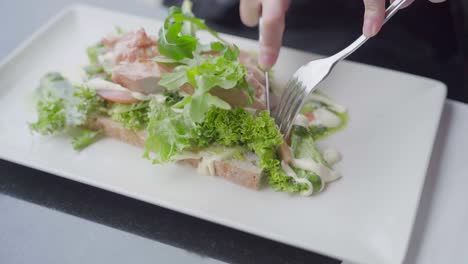 woman at outdoor cafe eating a sandwich, closeup of sandwich