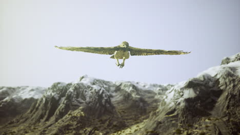 majestic eagle soaring over rugged mountains during daylight hours