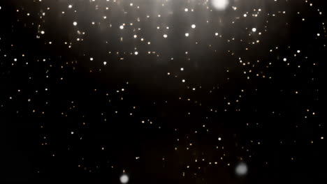 snow falling in winter animated overlay, transparent 4k video, alpha channel, prores 4444