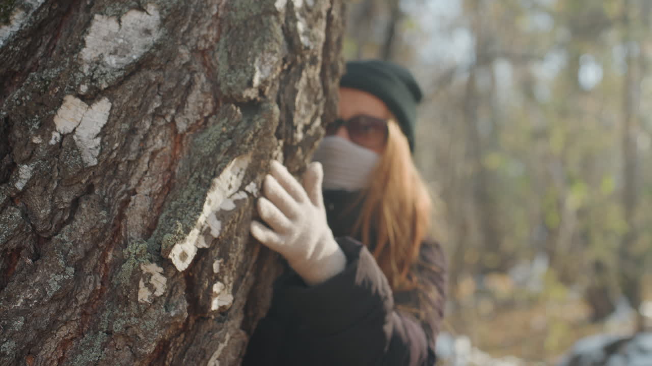 Mujer asomándose por detrás de un árbol, en un tranquilo bosque de abedules con nieve esparcida y luz otoñal, con máscara de bufanda de punto y gafas de sol, mano enguantada en el tronco. Una figura explora el camino con una sensación de acecho y vigilancia.