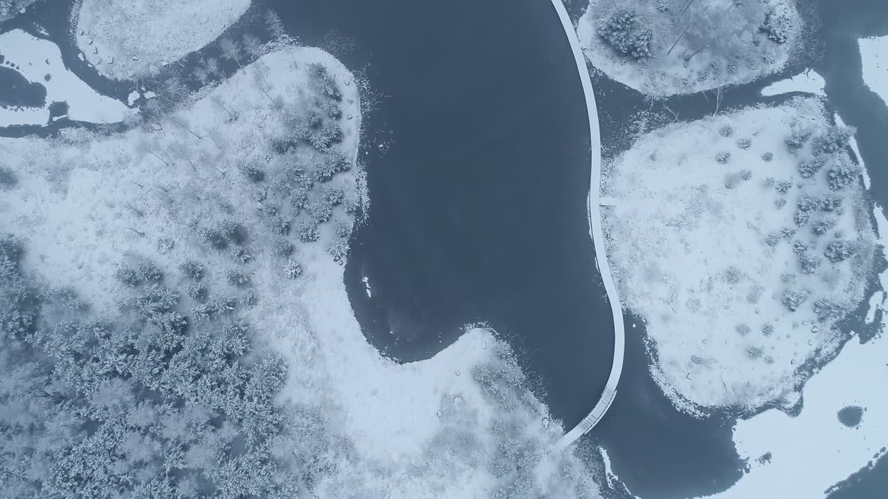 아북극 타이가 북미 눈 덮힌 대림 공중선