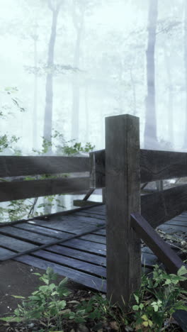 wooden bridge in a foggy forest