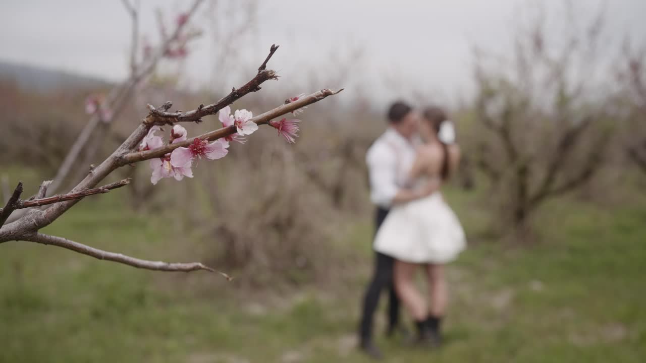 봄의 정원에서 부부