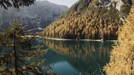 Lago-Braies-En-Italia.-Turistas-Remando-En-Botes