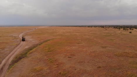 un juego de conducción-safari a través de ol pejeta, kenia