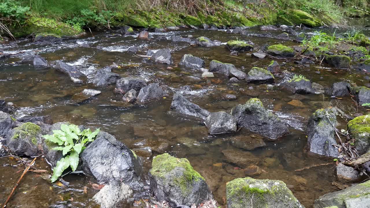 A rock ramp fishway on the Barham River in south-west Victoria, Australia