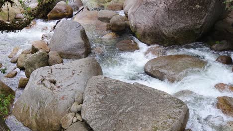 clear water rushes over large boulders in mossman gorge, surrounded by lush greenery and natural light