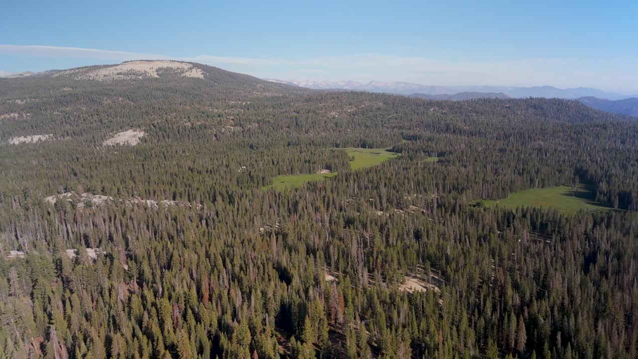 Aerial Shot Of Sequoia National Park In California