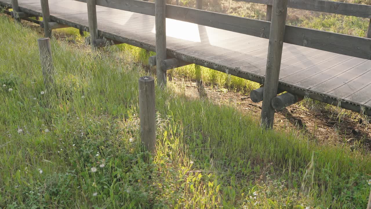 Wooden walkway over grassy terrain lit by golden sunlight near the Portuguese coast
