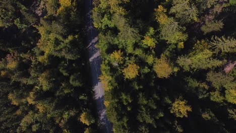 Aerial-overhead-view-of-a-curvy-mountain-road-during-fall