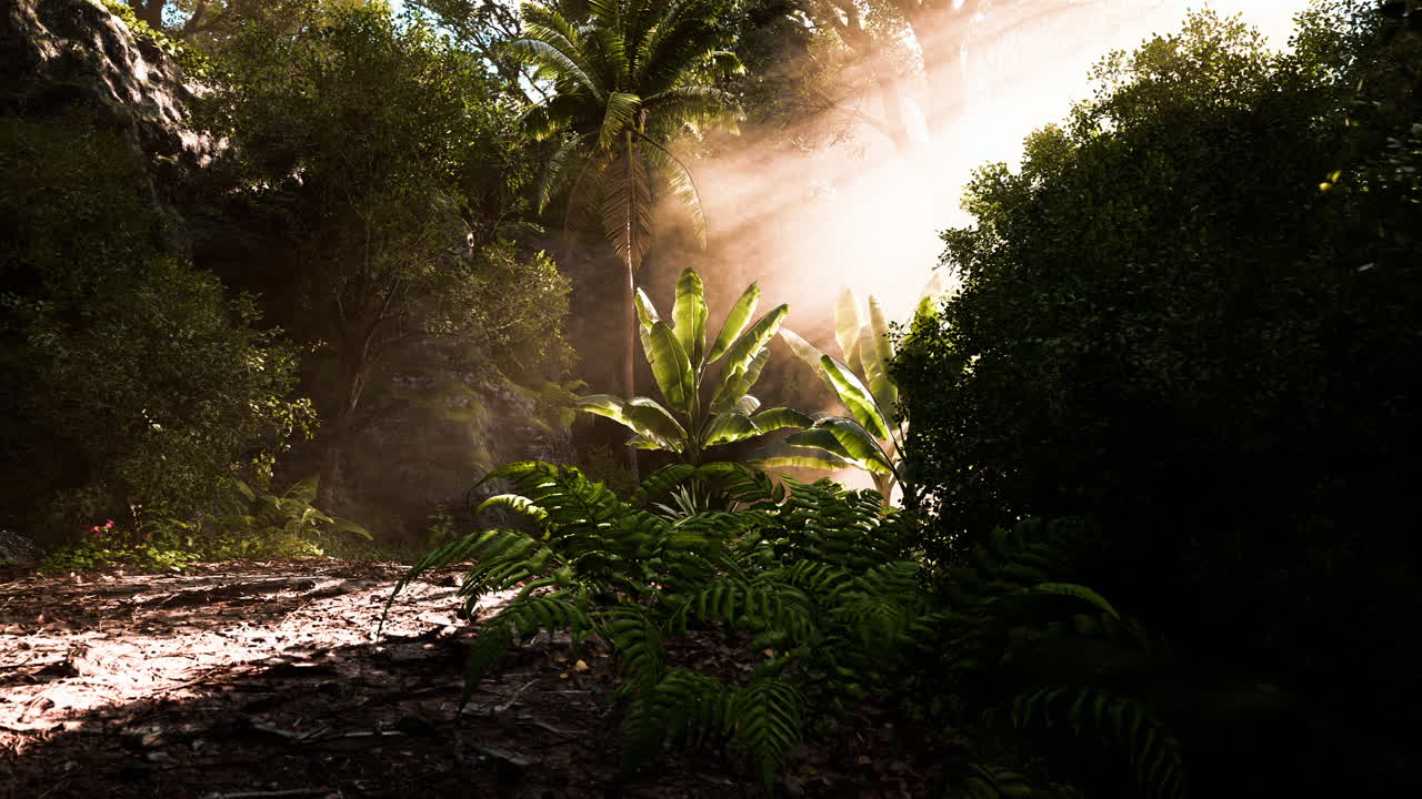 Sunlight filters through lush greenery in a serene forest landscape