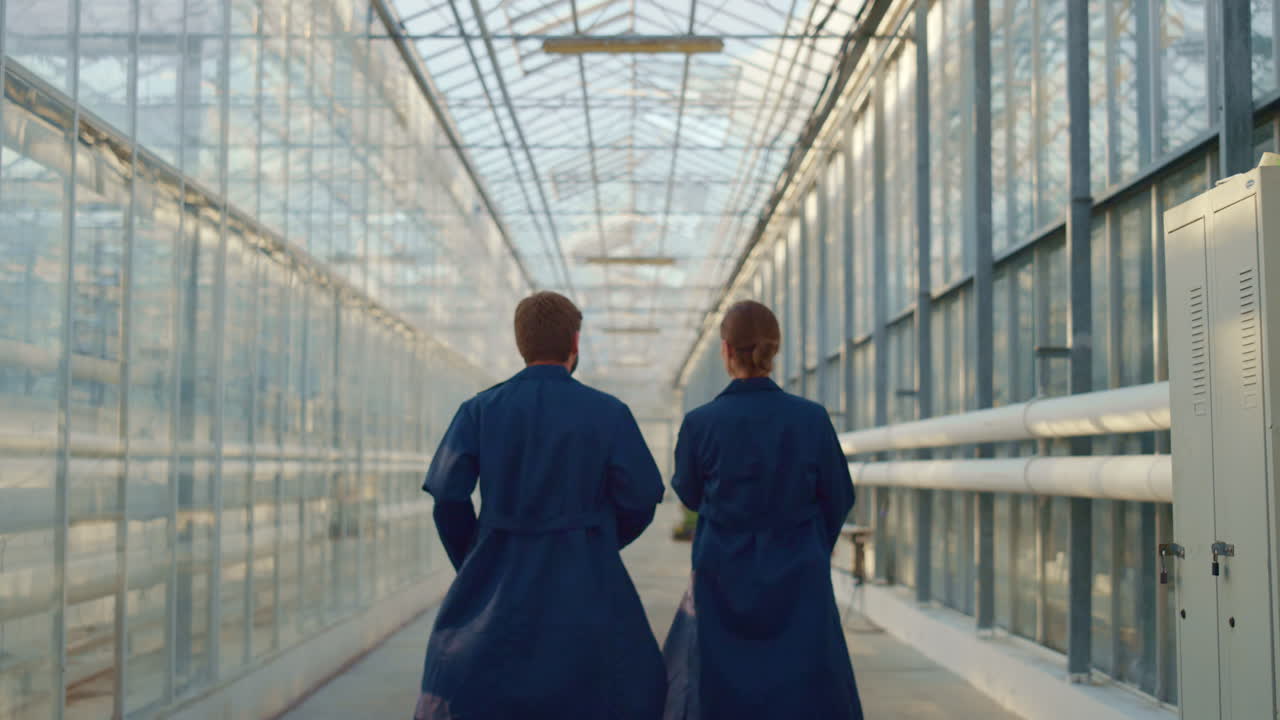 Specialisti agricoli discutono il business dell'agronomia in una moderna serra laboratorio tecnologica.