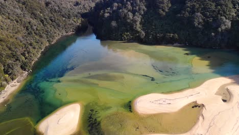 Small-beautiful-sandy-beach-across-the-sea-aerial,-birds-eye-view-of-jungle-forrest-Abel-Tasman,-New-Zealand