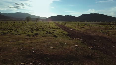 Filmische-Drohnenaufnahmen-Der-Chilenischen-Landschaft-Und-Natur