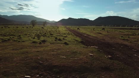 tomas aéreas cinematográficas de drones del paisaje y la naturaleza chilena