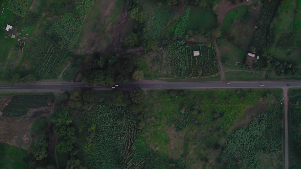 동아리카 의 모시-아루샤 고속도로 에서의 도로 여행